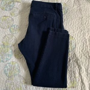 GAP Slim City Blue Skinny Pants